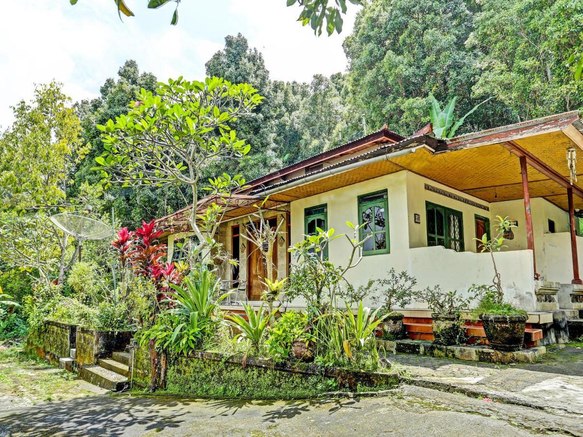 Oyo Homes 91094 Desa Wisata Banyuatis Gobleg  Kültér fotó