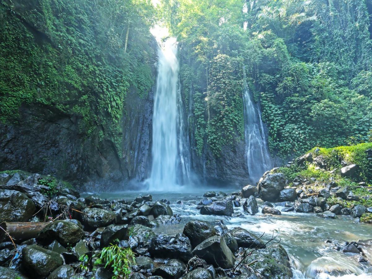 Oyo Homes 91094 Desa Wisata Banyuatis Gobleg  Kültér fotó