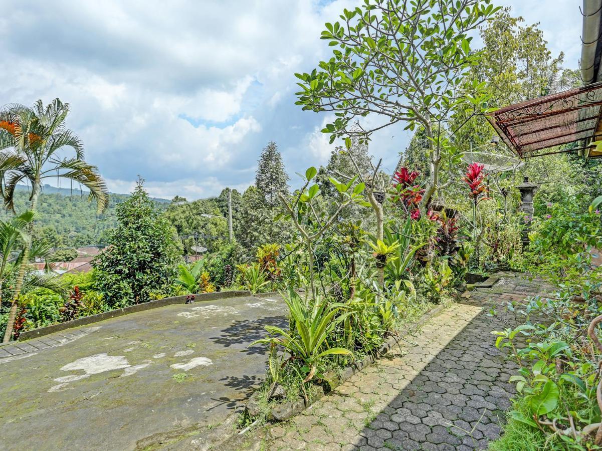 Oyo Homes 91094 Desa Wisata Banyuatis Gobleg  Kültér fotó