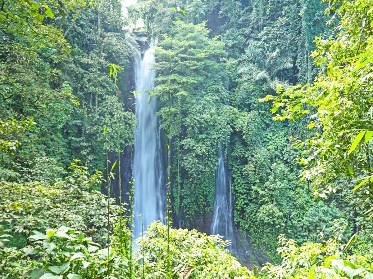 Oyo Homes 91094 Desa Wisata Banyuatis Gobleg  Kültér fotó